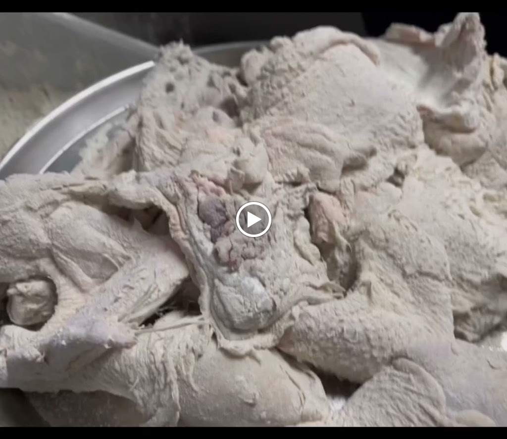 ESTAMBUL KEBAB PIZZERIA — Videos
