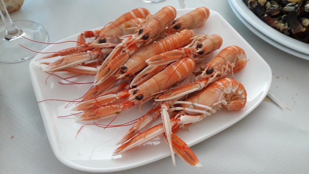 Restaurante Hotel Los Tulipanes — Scampi