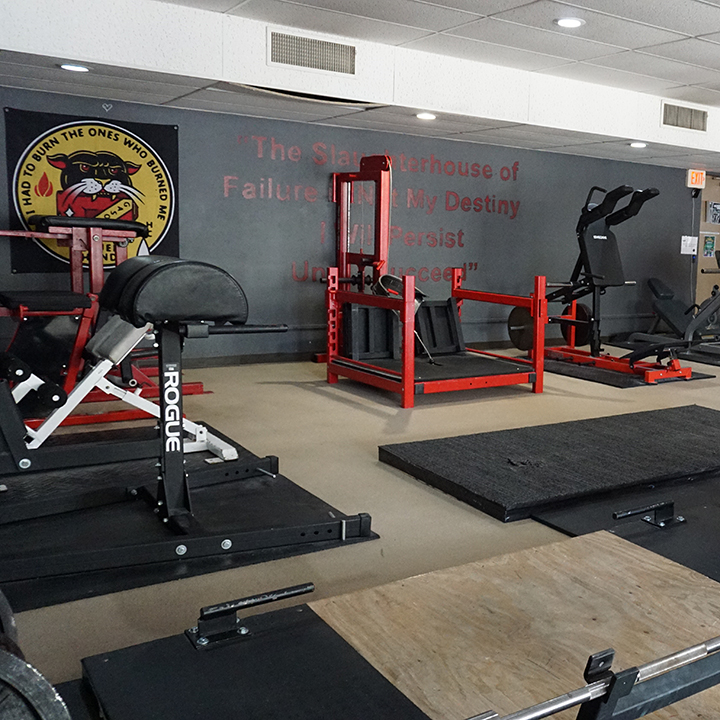  Primal Strength And Fitness