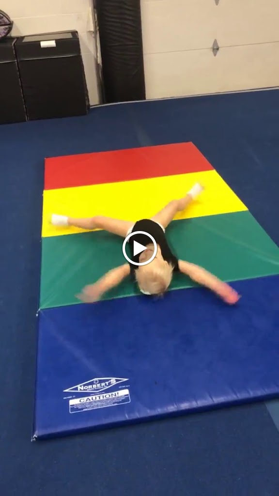  Flippers Gym Program