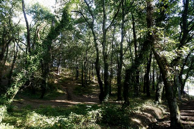 Fraga de Cecebre