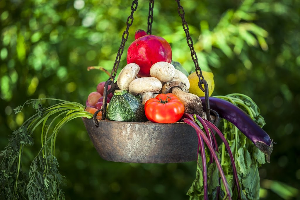 Cocina Microbiotica