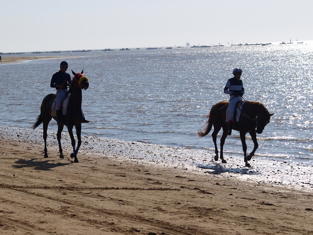 Meta carreras de caballos Sanlucar de Barrameda