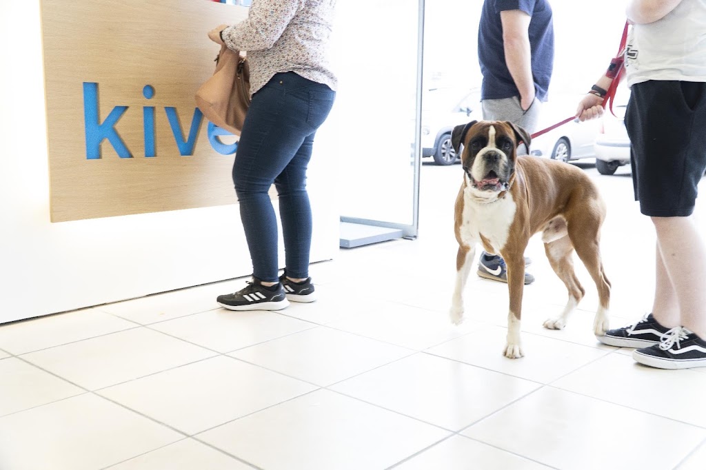 Kivet Salud Animal — Perro