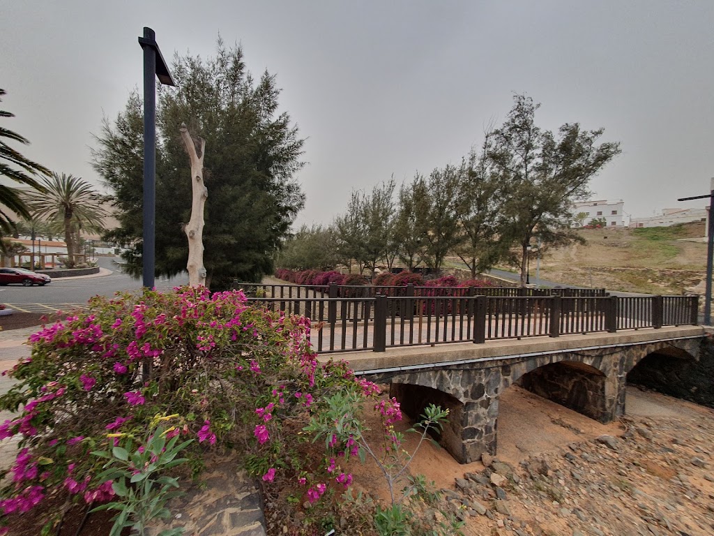 Parking publico gratuito.