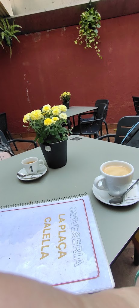 Cerveseria la Placa Calella — Comida y bebida