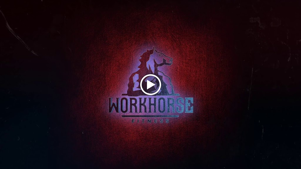  Warrior Fitness & Martial Arts