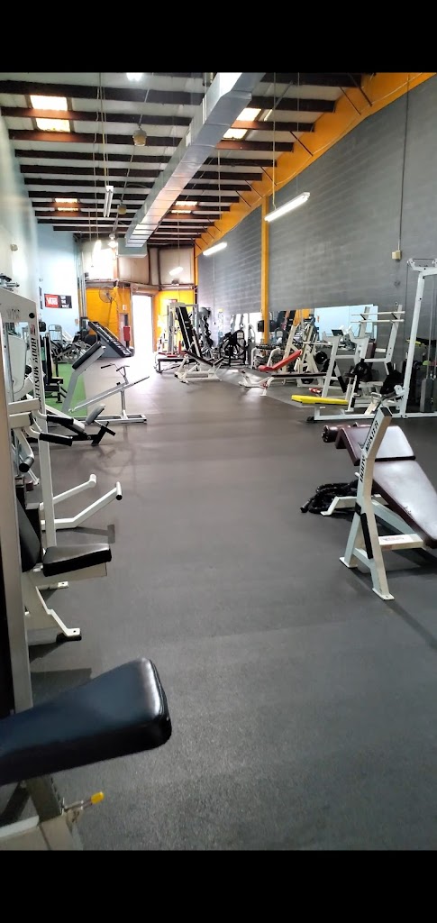  Kinetix Performance Training