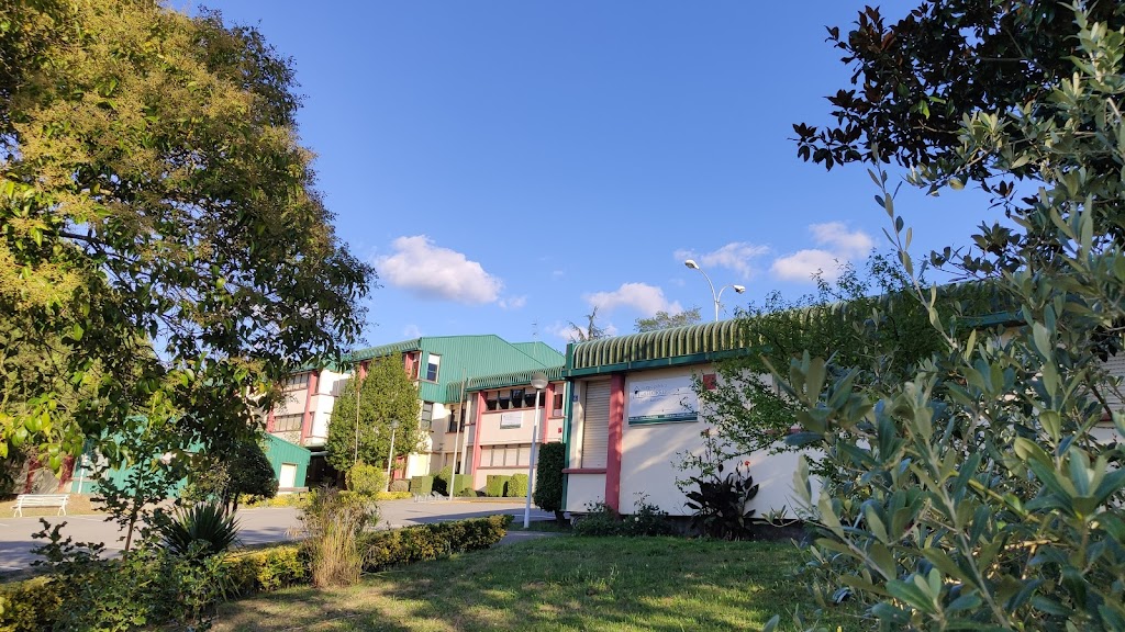 Colegio Publico Latiorro