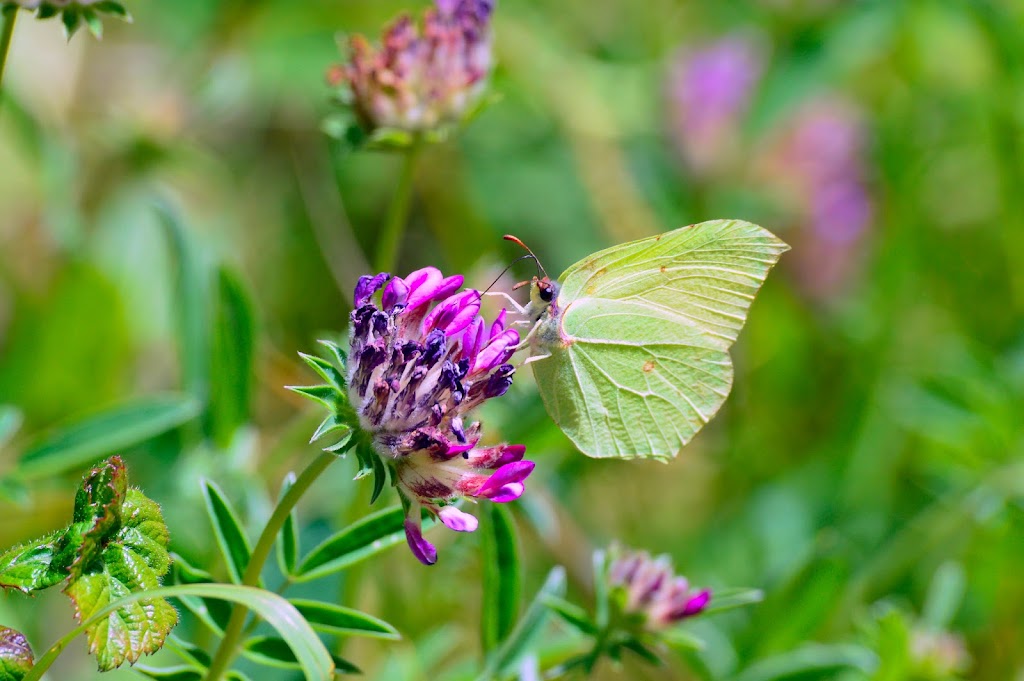Escuela Superior de Medio Ambiente