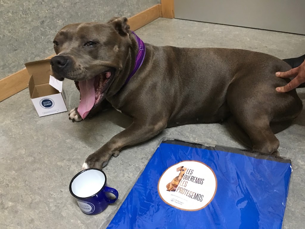 Centro Veterinario La Guia