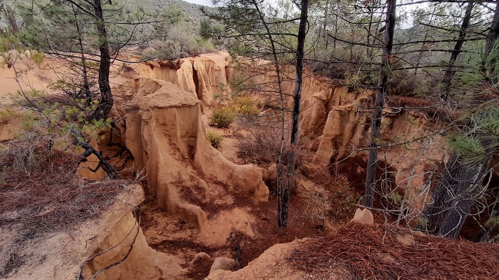 Torrent Colorado