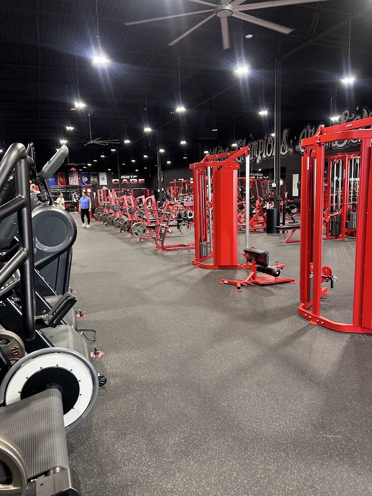  Next Tier Performance