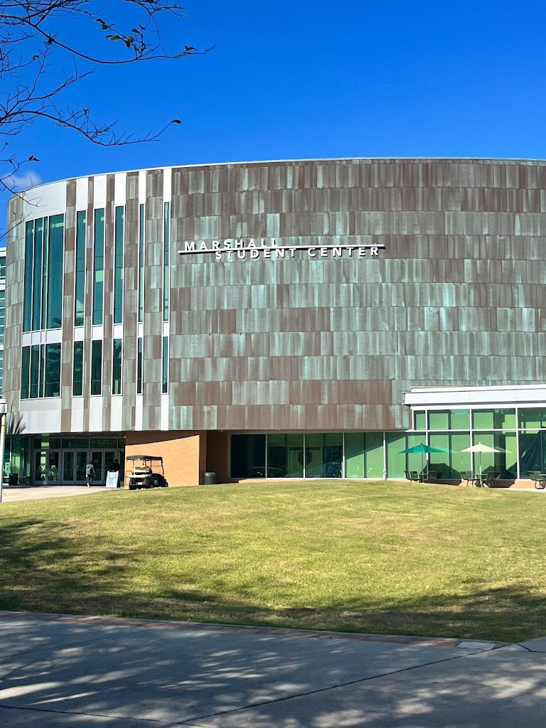 University of South Florida