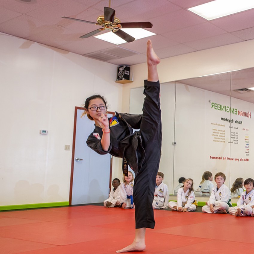  Human Engineer Taekwondo