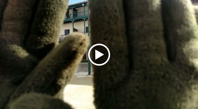 Restaurante El Ruedo Taurino — Videos