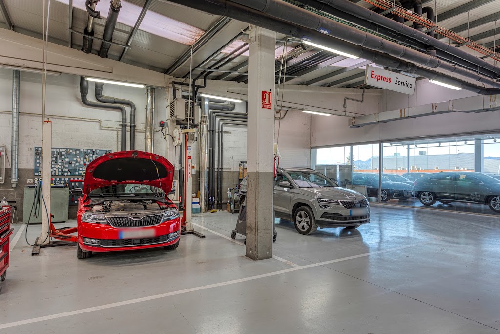Garaje Dalmau Igualada - Concessionari Oficial SKODA — Del propietario