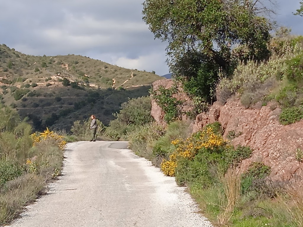 Conglomerados del Permotriasico