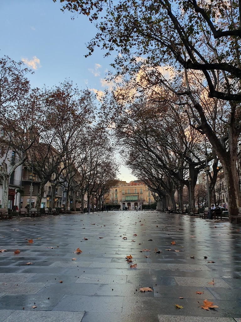 Rambla de Figueres