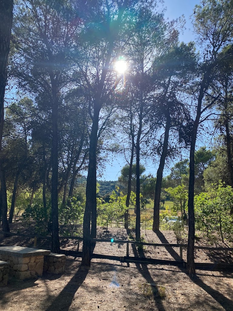 Area recreativa Sant Antoni