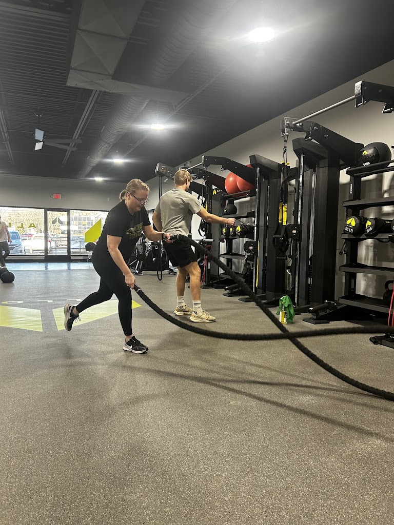 Alloy Personal Training Sylvania