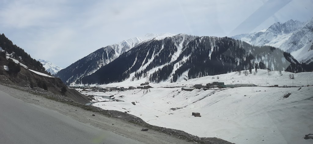 Indian View Tour & Travel