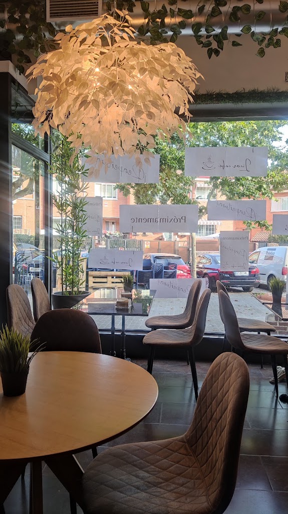Licor Cafe — Ambiente
