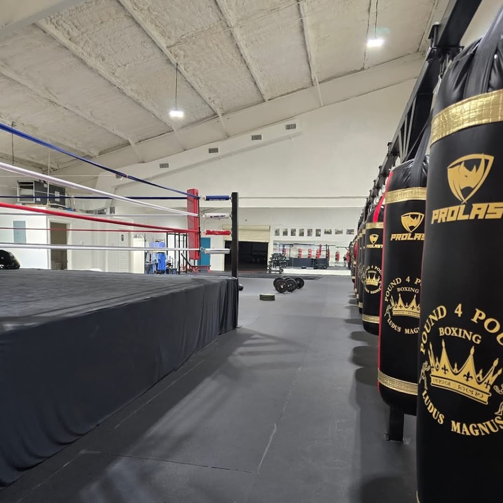  Pound 4 Pound Boxing - Ludus Magnus