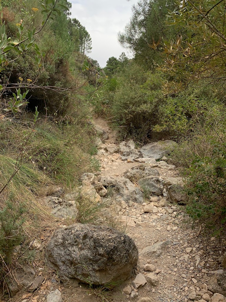 Camino del nacimiento del rio Darro