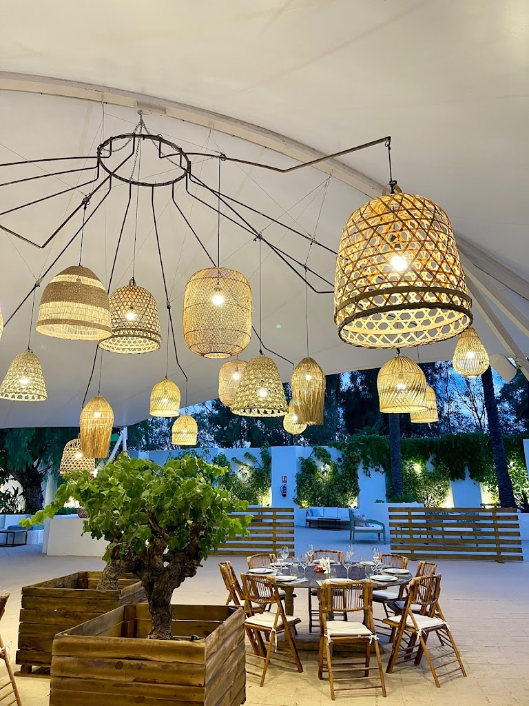 El Invernadero por Grupo Capicua