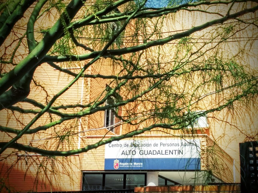 Cea Alto Guadalentin — Edificio