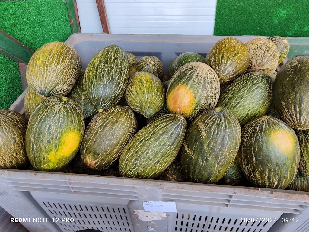 Venta sandia y melones de castilla la mancha