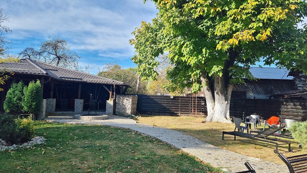 Pensiunea Pisica noastra