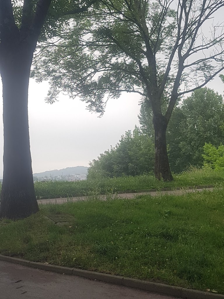 Asociacion De Mujeres Del Pueblo De Basauri