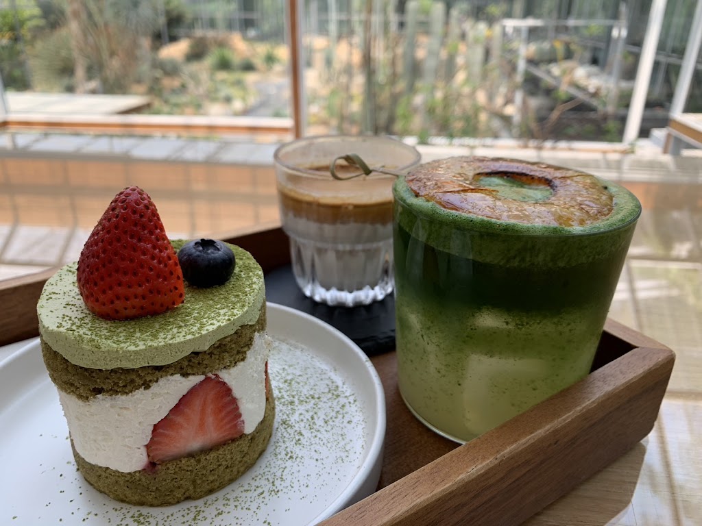 รูปภาพของ Botanist activity space
