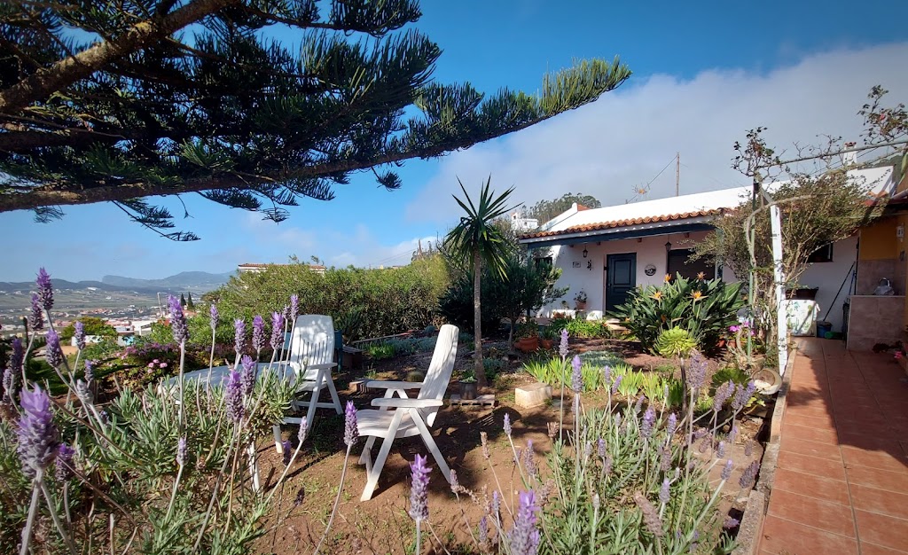 Live La Laguna Casita Vieja