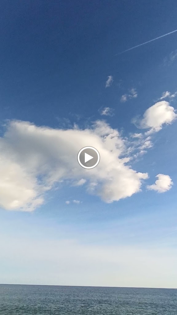 Som Terra — Videos