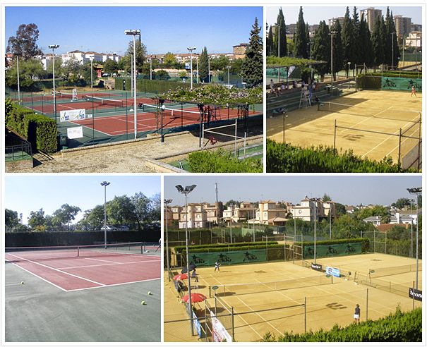 Net Sport Tennis Academy