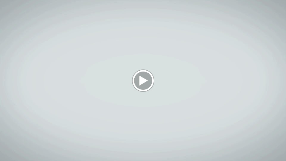  Neighborhood Trainers