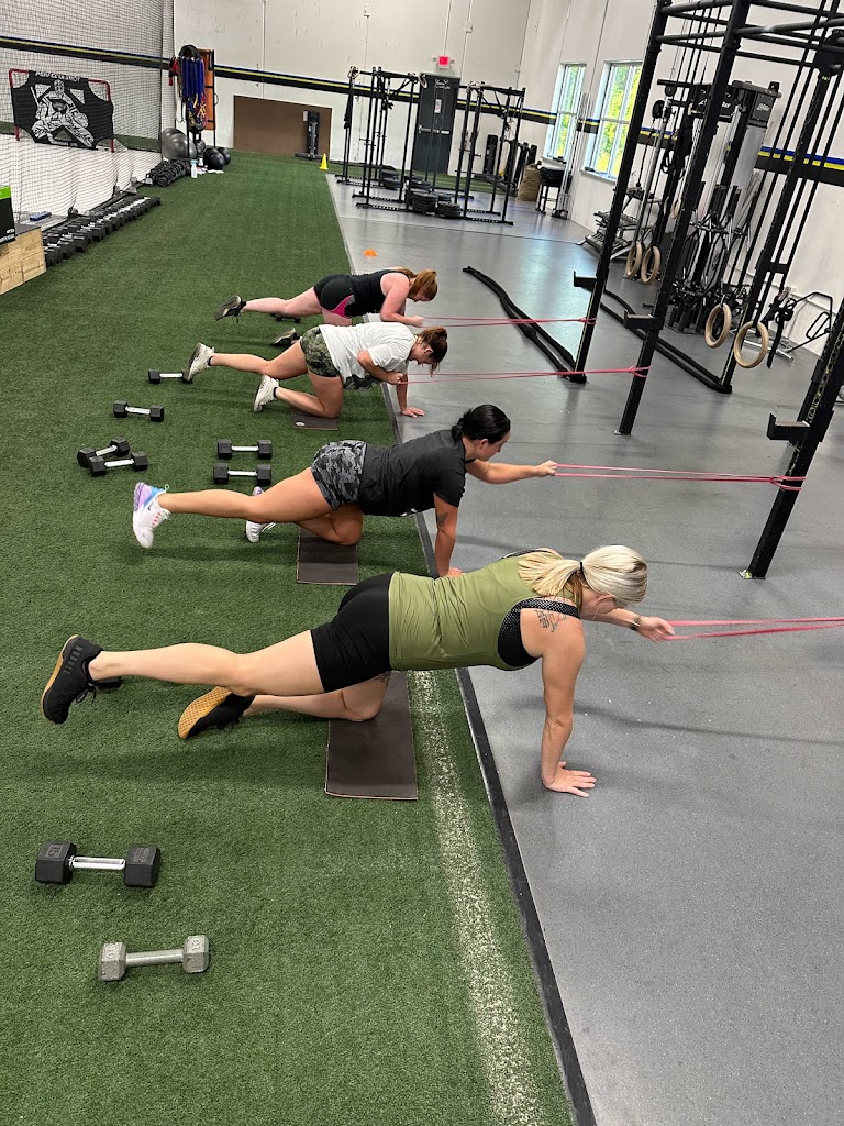  Trainology Fitness Systems