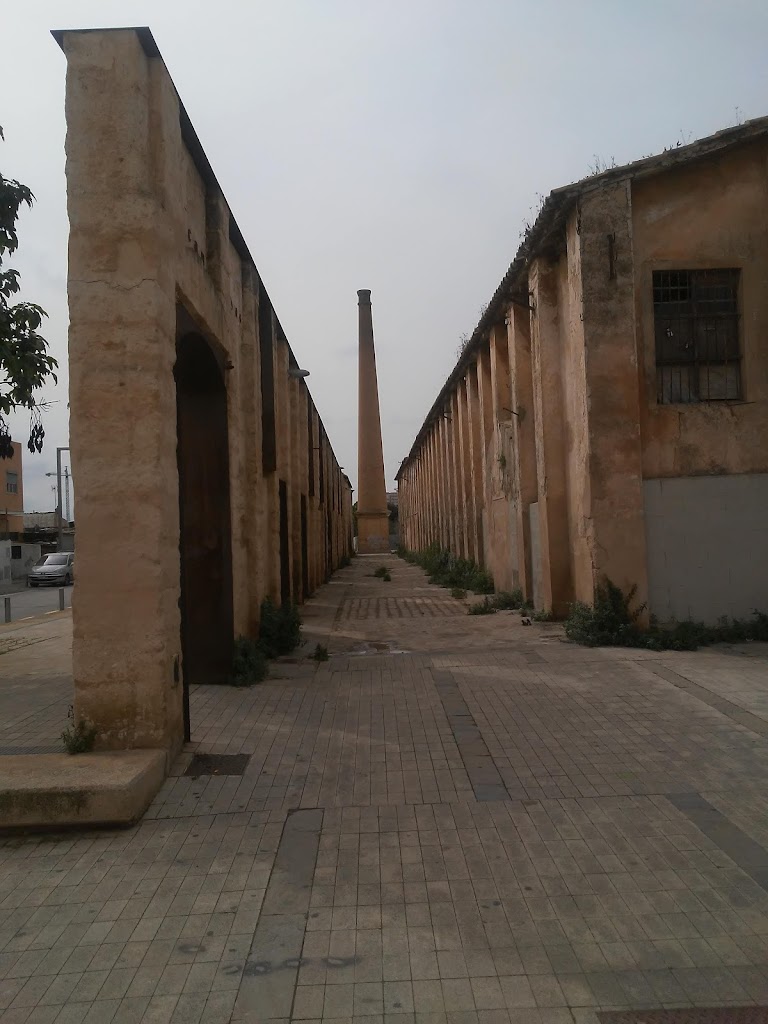 IES Aurora Picornell
