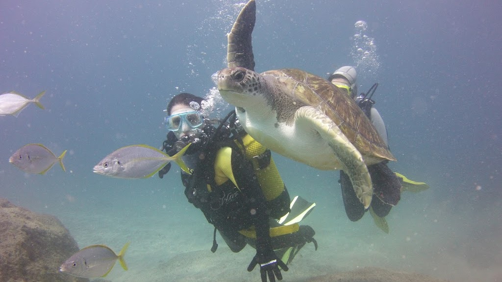 Ocean Trek PADI 5* Tauchclub Teneriffa