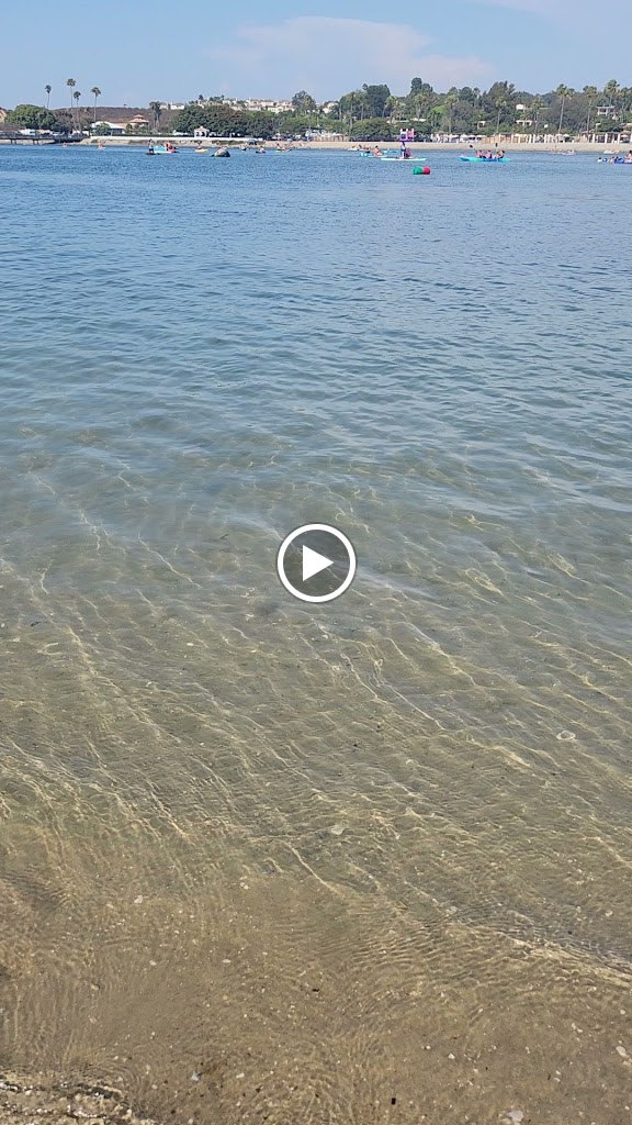 Videos