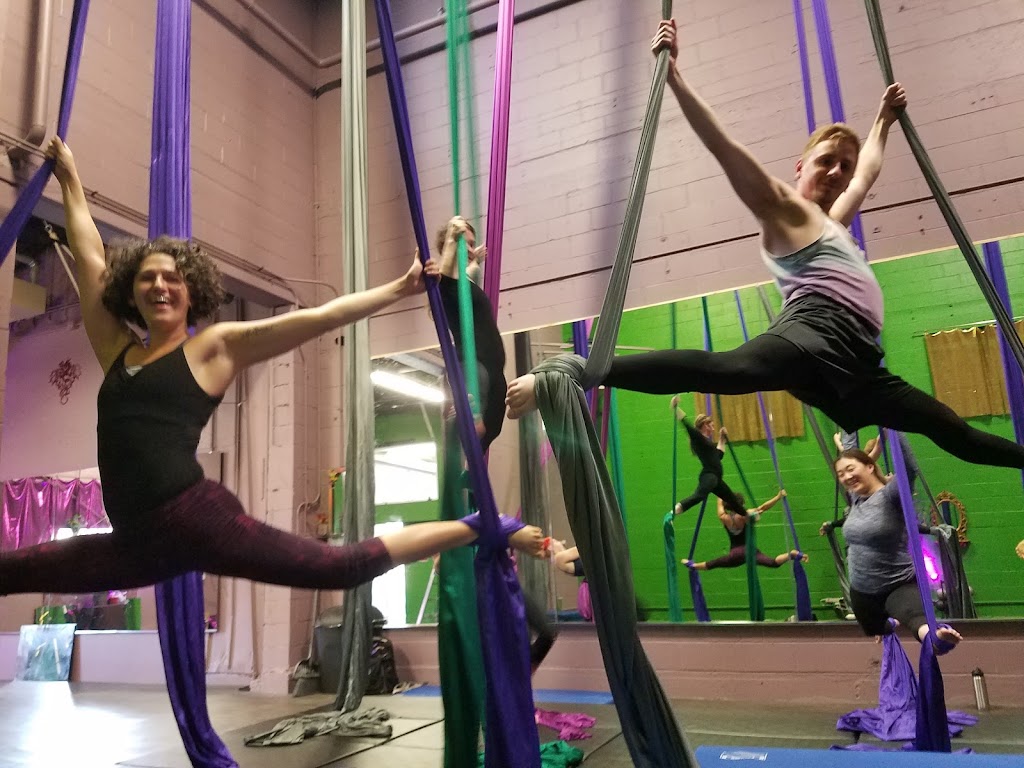  Dragons Lair Performing Arts