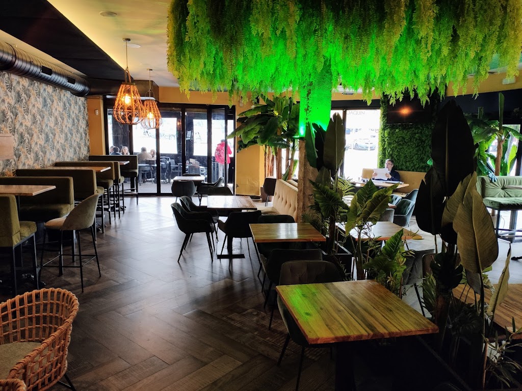 Bar Sapiens — Ambiente