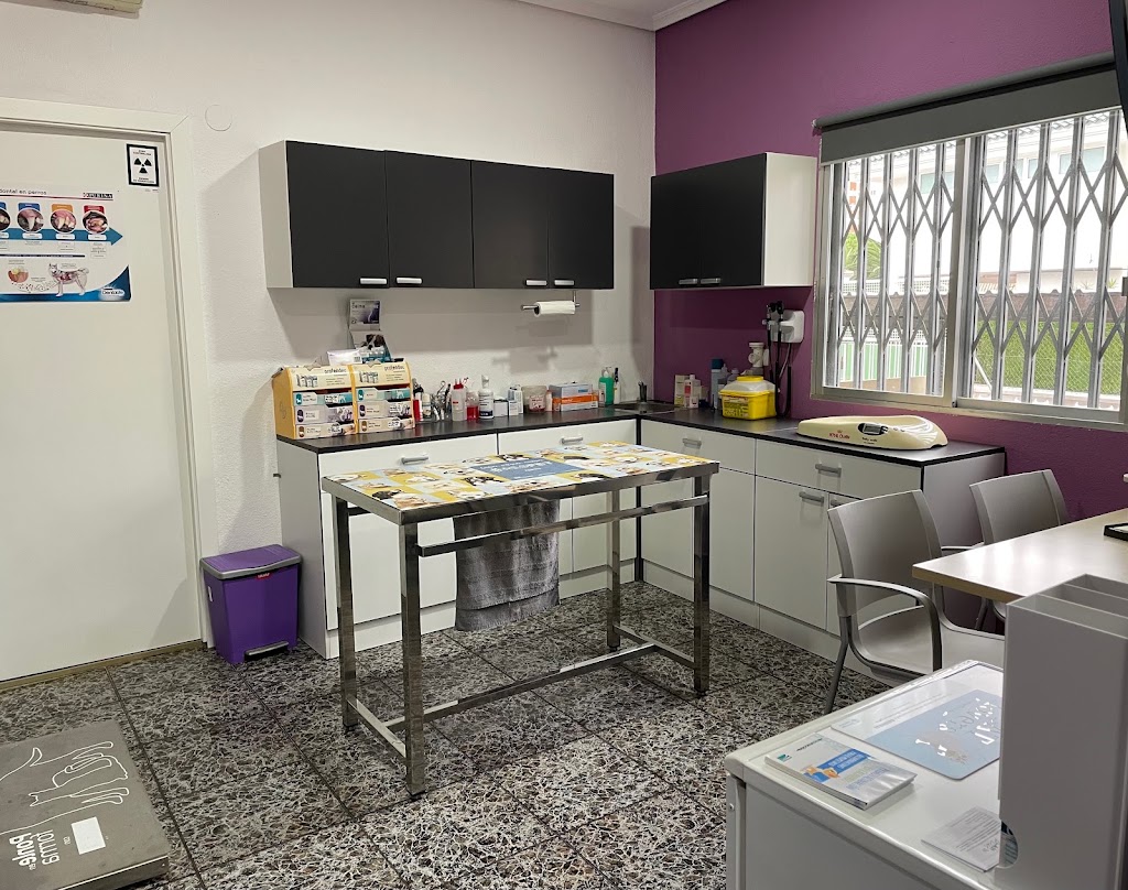 Clinica Veterinaria Maria Pardo — Del propietario