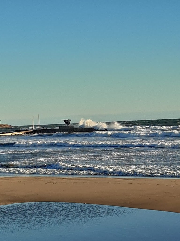 Aparcamiento de Minusvalidos