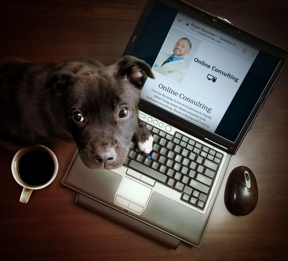  Roger Bowman's Fitness & Wellness Coaching