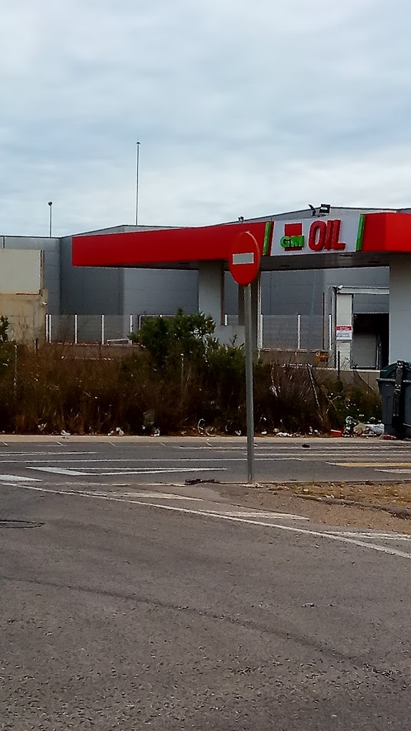 Gasolinera GMOil — Estacion de servicio