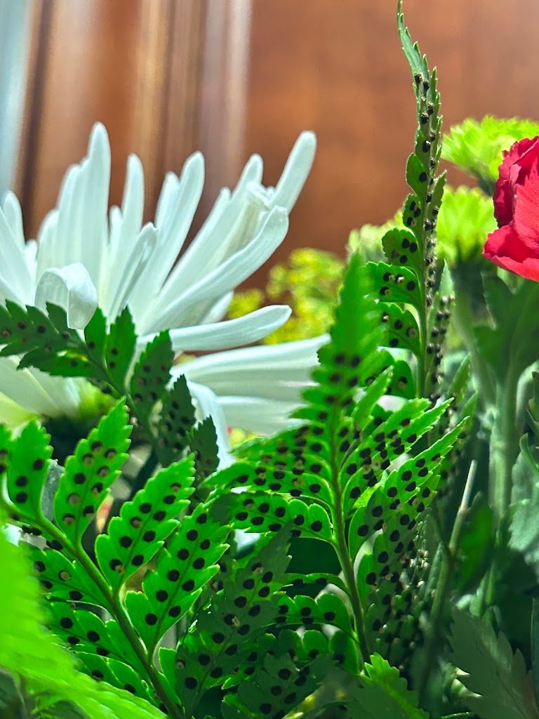 mineola florist and gift shop inc.